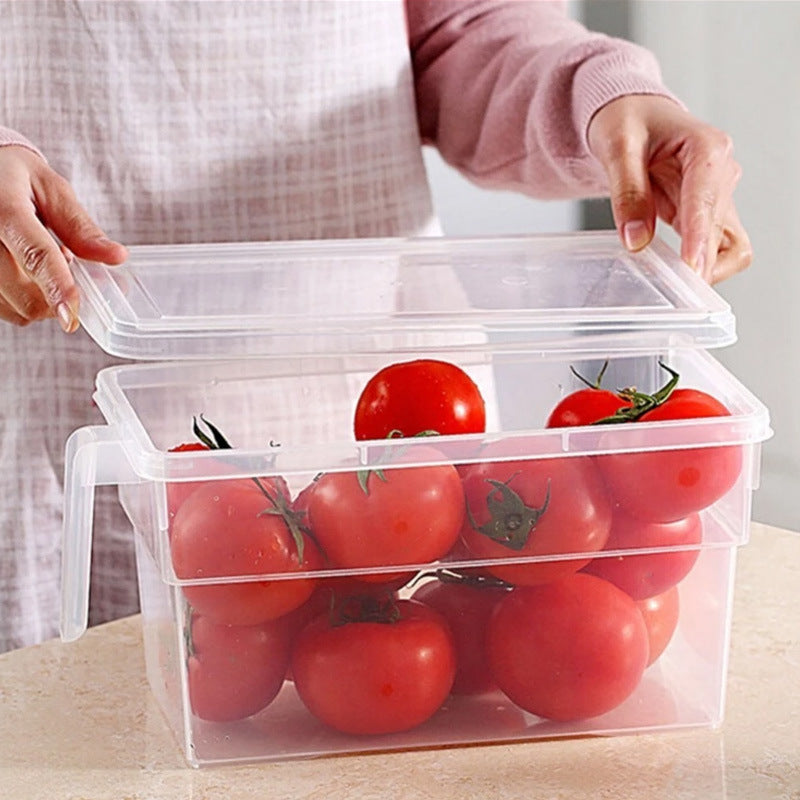 Nordicz koelkast opbergdoos met handvat transparant - Design Meubelz